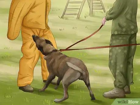 Image titled Teach Your Dog "On By" Step 12